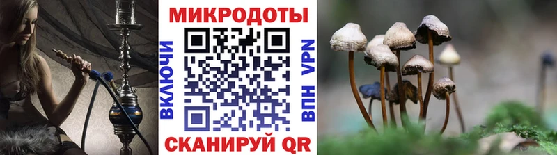 mega tor  купить закладку  даркнет наркотические препараты  Галлюциногенные грибы ЛСД  Полярные Зори 
